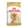3kg Yorkshire Terrier Adult 8+ Royal Canin Breed secco per cani