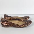 J. Crew Shoes | J. Crew Animal Print Flats Size 7 Leather Upper | Color: Black/Gold | Size: 7