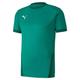 PUMA Unisex Kinder, teamGOAL 23 Jersey jr Trikot, Pepper Green-Power Green, 164