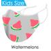 Watermelon Design Reusable Face Mask - Kid Sized