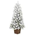 Vickerman 657638 - 4' x 22" Flocked Gifford Pine 100 Warm White Lights Artificial Christmas Tree Christmas Tree (G200841LED)