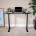 Inbox Zero Electric Height Adjustable Standing Desk w/ 48"W x 24"D Table Top Wood/Metal in Black | 47.25 W x 24 D in | Wayfair