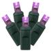 Vickerman 520536 - 70 Light 24' Green Wire Purple Wide Angle LED with 4" Spacing (X4G6706TPBG)