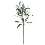 Primrue 38" Artificial Willow Leaf Plant Plastic | 38 H x 13 W x 9 D in | Wayfair 1920D092035A46DE9321666D0BF81F85