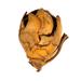 Vickerman 650400 - 2-3" Aspen Gold Cacho Pods - 60/Case (H2CCPB725) Dried and Preserved Pods