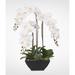 Jenny Silks Real Touch White Orchids & Succulents in a Black Metal Zinc Pot Plastic in Blue | 28 H x 21 W x 14 D in | Wayfair F-35