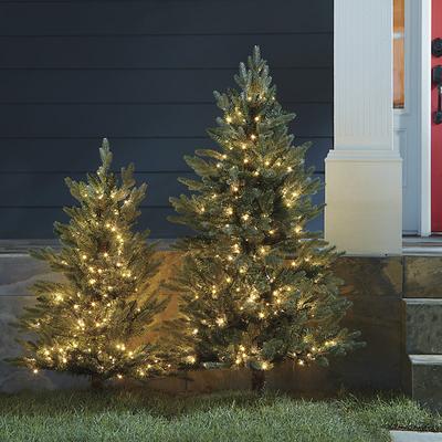 Staked Twinkling Fraser Fir Tree - 4' - Ballard Designs