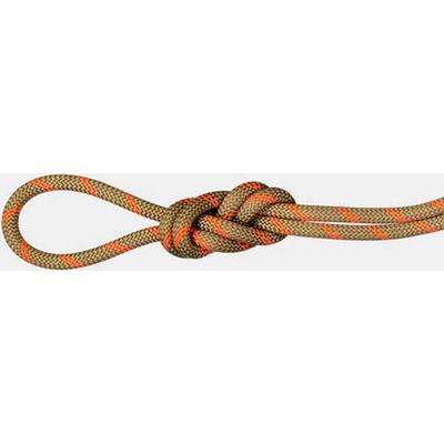 MAMMUT 8.0 Alpine Dry Rope, Größe 50 in Dry Standard, boa-safety orange