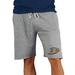 Men's Concepts Sport Gray Anaheim Ducks Mainstream Terry Shorts