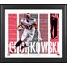 Rob Gronkowski Tampa Bay Buccaneers Framed 15" x 17" Player Panel Collage