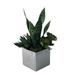 Primrue 6 - Piece Artificial Succulent in Planter Set Ceramic/Plastic | 18 H x 10 W x 10 D in | Wayfair 100A09CCD560417781518E892AF28E8B