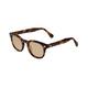 sunglasses X-LAB 8004 moscot style, unisex, polarized lenses (dark turtle, brown)