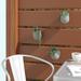 Ebern Designs Gigee 3-Piece Ceramic Wall Planter Set Ceramic in Gray | 4 H x 4 W x 4 D in | Wayfair AAC736CC9D5947D0858DDD10B4B79740