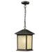 Z-Lite Holbrook 13 Inch Tall Outdoor Hanging Lantern - 507CHM-ORB