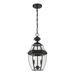 Z-Lite Westover 18 Inch Tall 2 Light Outdoor Hanging Lantern - 580CHM-BK