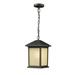 Z-Lite Holbrook 15 Inch Tall Outdoor Hanging Lantern - 507CHB-ORB