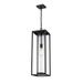 Z-Lite Dunbroch 26 Inch Tall Outdoor Hanging Lantern - 584CHB-BK