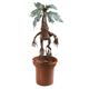 The Noble Collection Mandrake Interactive Collectors Plush by Officially Licensed 14in (35cm) Harry Potter Toy Dolls Mandrake Plush & Plant Pot - for Kids & Adults