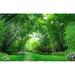GK Wall Design 3D Photo Jungle Landscape TEXTILE Wallpaper Fabric in Green | 187 W in | Wayfair GKWP000084W187H106_3D