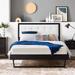 Willow Wood Platform Bed w/ Angular Frame by Modway Wood & /Upholstered/Polyester in White/Black | 51 H x 40.5 W x 78 D in | Wayfair