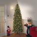 The Holiday Aisle® Ogburn 90" H Green Fir Christmas Tree 450 Lights LED Lights | 90 H x 37 W in | Wayfair 58EF97DD90A94D0E8E1E6CA69118F88C