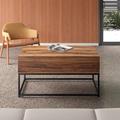 Trent Austin Design® Hilyard Lift Top Coffee Table w/ Storage & Metal Leg Wood/Metal in Black/Brown/Gray | 19.7 H x 39.4 W x 23.6 D in | Wayfair