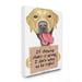 Stupell Industries Labrador Bad Dog Humor Chewing Shoes Pet Sign by Danny Gordan - Graphic Art Print Canvas in Brown/Red | Wayfair ab-168_cn_16x20