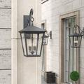 Hinkley 4-Light Outdoor Wall Lantern Glass/Metal in Black | 26.3 H x 13 W x 19 D in | Wayfair 1438DZ