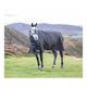 Shires Highlander Original 200 Turnout Rug - Black: 5ft9