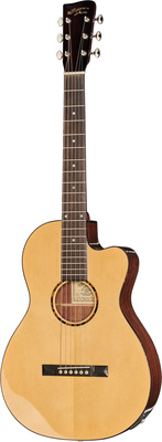 Recording King RP-G6-CFE5