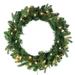 Kurt Adler Jackson 24" Lighted Polyvinyl Chloride (PVC) Wreath Traditional Faux in Green | 24 H x 24 W x 5 D in | Wayfair P60240PLC