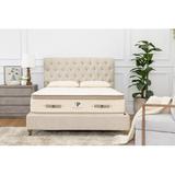 Queen Medium 12" Latex Mattress - PlushBeds Luxury Bliss | 80 H x 38 W 12 D in Wayfair LUXBLM1205