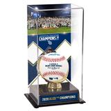 Tampa Bay Rays 2020 American League Champions Sublimated Display Case with Image