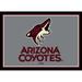 Imperial Arizona Coyotes 7'8'' x 10'9'' Spirit Rug