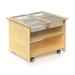Mobile Sensory Table With Trays & Lids - Whitney Brothers WB1775