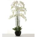 Corsage Creations - Real Touch Artificial Orchids In Moss Pot - White (150cm tall, 13 stems)