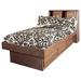 Forest Designs Twin Bookcase Headboard Wood in Brown | 42 H x 42 W x 13 D in | Wayfair 3010-B-CO