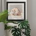 Highland Dunes Impressionist Shell Study II - Picture Frame Painting Print on Paper in Brown/Gray | 27.5 H x 27.5 W x 1.5 D in | Wayfair