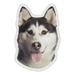 Magnetic Bumper Sticker - Alaskan Malamute Dog Breed Picture Magnet - Cars Trucks SUVs Etc.