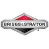 Briggs & Stratton OEM 841521 Control-Throttle