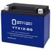 Mighty Max Battery YTX12-BSLIFEPO4 - 12 Volt 10 AH 330 CCA Lithium Iron Phosphate (LiFePO4) Battery