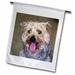 3dRose Silky Terrier - Garden Flag 12 by 18-inch