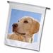 3dRose Labrador Retriever puppy dog - NA02 RBR0017 - Rick A. Brown - Garden Flag 18 by 27-inch