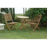Anderson Teak Andrew Folding Chair - Pack of 2