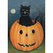 Toland Home Garden Hollow Cat Fall Halloween Flag Double Sided 12x18 Inch