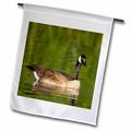 3dRose Canada geese Bird Viewing Preserve Nevada - US29 MPR0062 - Maresa Pryor - Garden Flag 12 by 18-inch