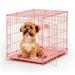 Newly Enhanced MidWest iCrate Folding Metal Dog Crate Divider Panel Floor Protecting feet Leak-Proof Dog Pan 24L x 18W x 19H Pink (Small)