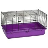 Miller Pet Lodge Plastic Rabbit Hutch Purple