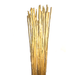 Natural Thin bamboo Stakes Over 5 Feet Tall - Pack of 20 - Natural Yellow