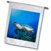 Cayman Islands Hawksbill Sea Turtle and coral reef -CA42 PSO0093 - Paul Souders 18 x 27 inch Garden Flag fl-74849-2